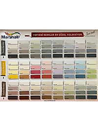 Marshall Maximum Silikonlu İpek Mat Duvar Boyası