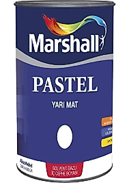 Marshall Pastel Yarı Mat