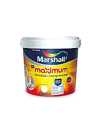 Marshall Maximum Silikonlu İpek Mat Duvar Boyası